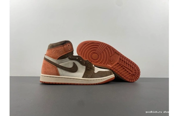 1 Clay SP Jordan FQ2941-200   FQ2941-200 Retro Dusted High OG 0210